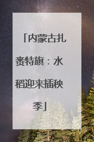 内蒙古扎赉特旗：水稻迎来插秧季
