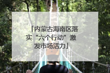 内蒙古海南区落实“六个行动”激发市场活力