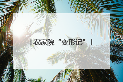 农家院“变形记”