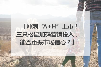 冲刺“A+H”上市！三只松鼠加码营销投入，能否重振市场信心？