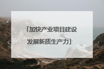 加快产业项目建设 发展新质生产力