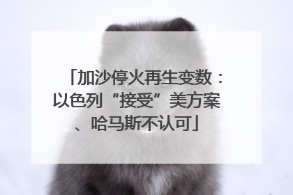 加沙停火再生变数：以色列“接受”美方案、哈马斯不认可