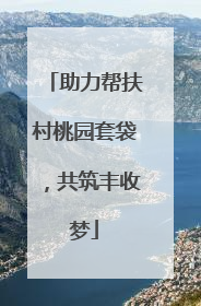 助力帮扶村桃园套袋，共筑丰收梦