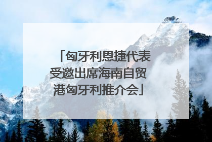 匈牙利恩捷代表受邀出席海南自贸港匈牙利推介会