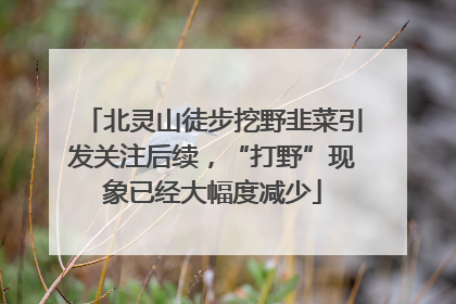北灵山徒步挖野韭菜引发关注后续，“打野”现象已经大幅度减少