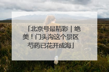 北京号最精彩｜绝美！门头沟这个景区芍药已花开成海