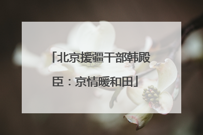 北京援疆干部韩殿臣：京情暖和田