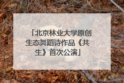 北京林业大学原创生态舞蹈诗作品《共生》首次公演