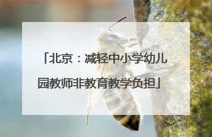 北京：减轻中小学幼儿园教师非教育教学负担