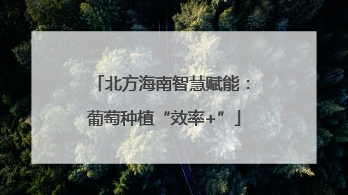 北方海南智慧赋能：葡萄种植“效率+”