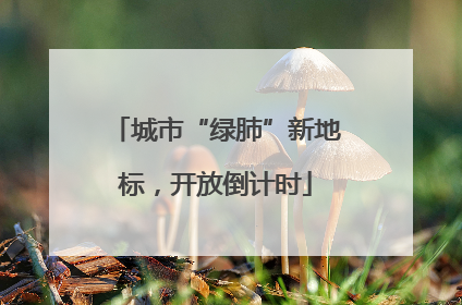 城市“绿肺”新地标，开放倒计时