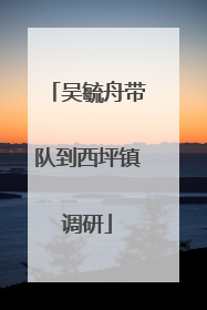 吴毓舟带队到西坪镇调研