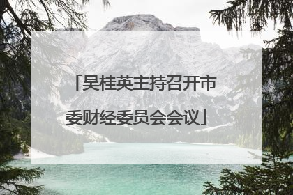 吴桂英主持召开市委财经委员会会议