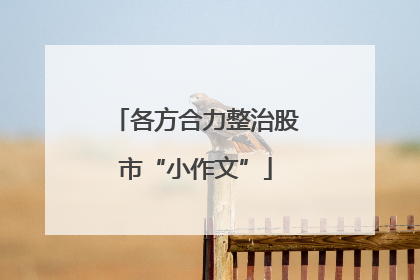 各方合力整治股市“小作文”