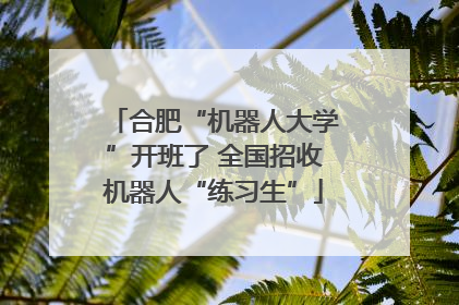 合肥“机器人大学”开班了 全国招收机器人“练习生”