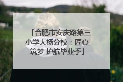 合肥市安庆路第三小学大杨分校：匠心筑梦 护航毕业季