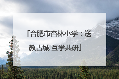 合肥市杏林小学：送教古城 互学共研