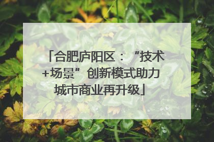 合肥庐阳区：“技术+场景”创新模式助力城市商业再升级