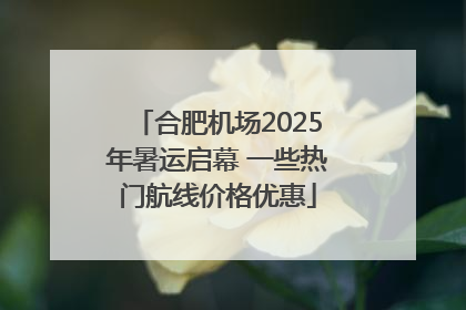 合肥机场2025年暑运启幕 一些热门航线价格优惠