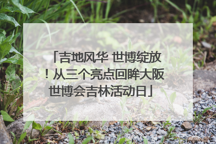 吉地风华 世博绽放！从三个亮点回眸大阪世博会吉林活动日