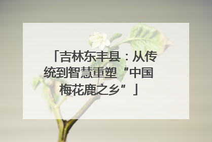 吉林东丰县：从传统到智慧重塑“中国梅花鹿之乡”