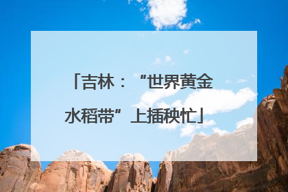 吉林：“世界黄金水稻带”上插秧忙