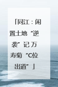 同江：闲置土地“逆袭”记 万寿菊“C位出道”