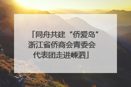 同舟共建“侨爱岛” 浙江省侨商会青委会代表团走进嵊泗