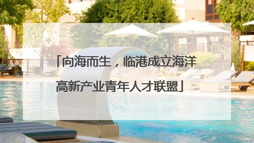 向海而生，临港成立海洋高新产业青年人才联盟
