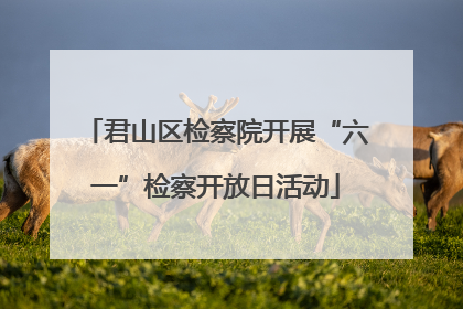 君山区检察院开展“六一”检察开放日活动
