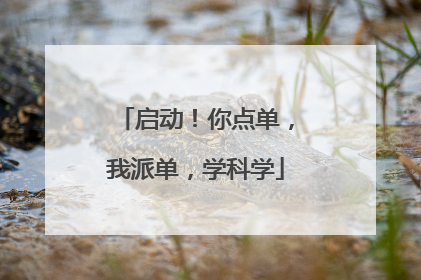 启动！你点单，我派单，学科学