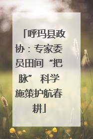 呼玛县政协：专家委员田间“把脉” 科学施策护航春耕
