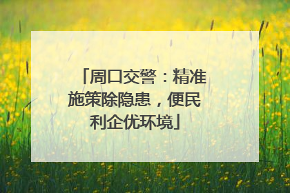 周口交警：精准施策除隐患，便民利企优环境