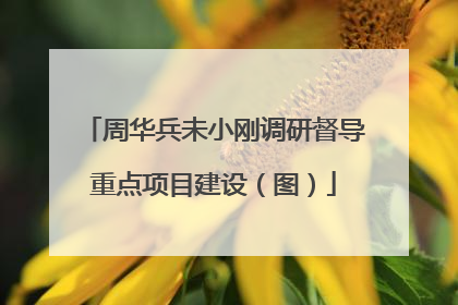 周华兵未小刚调研督导重点项目建设（图）