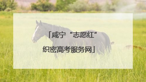 咸宁“志愿红”织密高考服务网