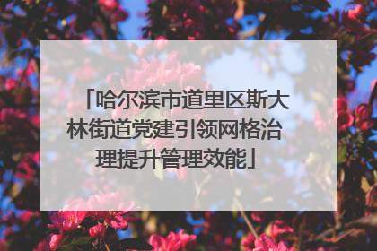 哈尔滨市道里区斯大林街道党建引领网格治理提升管理效能