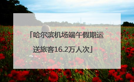 哈尔滨机场端午假期运送旅客16.2万人次