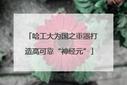 哈工大为国之重器打造高可靠“神经元”