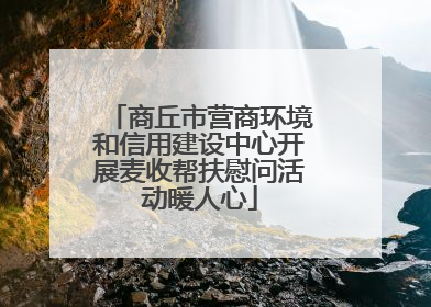 商丘市营商环境和信用建设中心开展麦收帮扶慰问活动暖人心