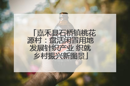 嘉禾县石桥镇桃花源村：盘活闲置用地发展针织产业 织就乡村振兴新图景