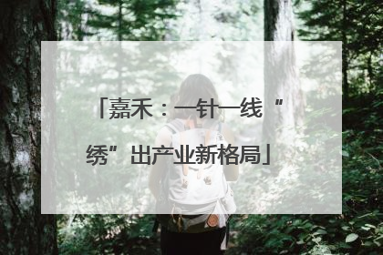 嘉禾：一针一线“绣”出产业新格局