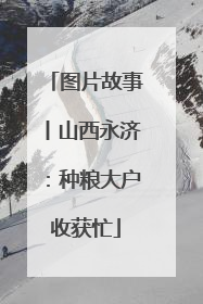 图片故事丨山西永济：种粮大户收获忙