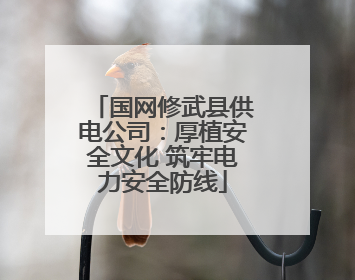 国网修武县供电公司：厚植安全文化 筑牢电力安全防线