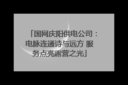 国网庆阳供电公司：电脉连通诗与远方 服务点亮露营之光