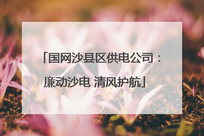 国网沙县区供电公司：廉动沙电 清风护航