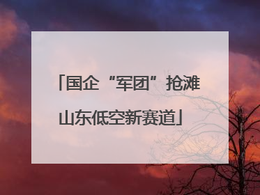 国企“军团”抢滩山东低空新赛道