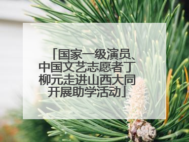 国家一级演员、中国文艺志愿者丁柳元走进山西大同开展助学活动