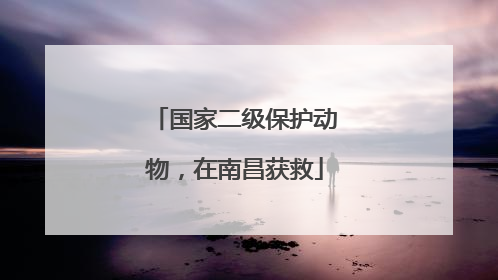 国家二级保护动物，在南昌获救