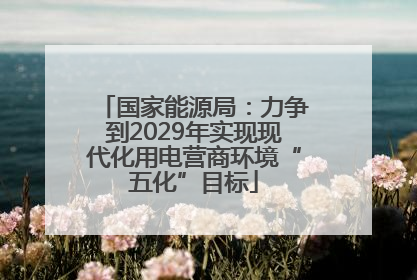 国家能源局：力争到2029年实现现代化用电营商环境“五化”目标