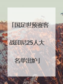 国足世预赛客战印尼25人大名单出炉